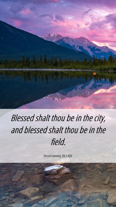 Picture 06 - Deuteronomy 28:3 KJV Mobile Phone Wallpaper - Blessed shalt thou be in the city, and blessed - Mobile Bible Verse Wallpaper