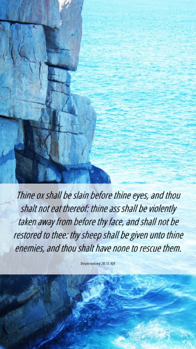 Picture 06 - Deuteronomy 28:31 KJV Mobile Phone Wallpaper - Thine ox shall be slain before thine eyes, and - Mobile Bible Verse Wallpaper