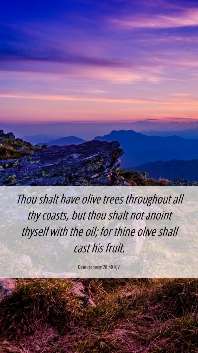 Picture 06 - Deuteronomy 28:40 KJV Mobile Phone Wallpaper - Thou shalt have olive trees throughout all thy - Mobile Bible Verse Wallpaper