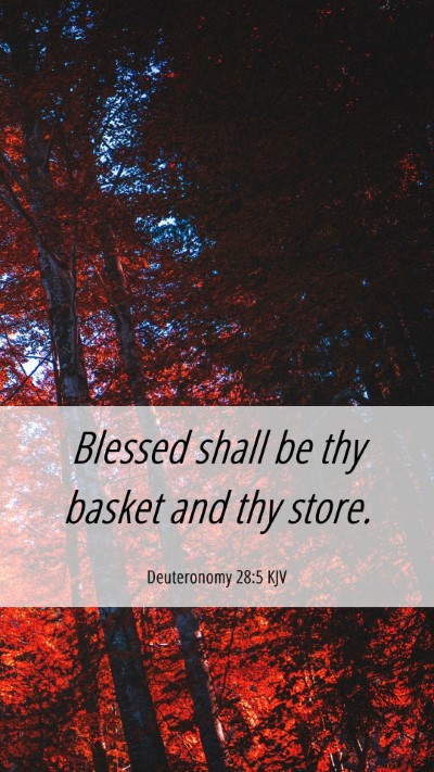 Picture 06 - Deuteronomy 28:5 KJV Mobile Phone Wallpaper - Blessed shall be thy basket and thy - Mobile Bible Verse Wallpaper