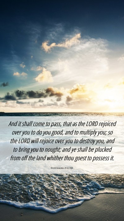 Picture 06 - Deuteronomy 28:63 KJV Mobile Phone Wallpaper - And it shall come to pass, that as the LORD - Mobile Bible Verse Wallpaper