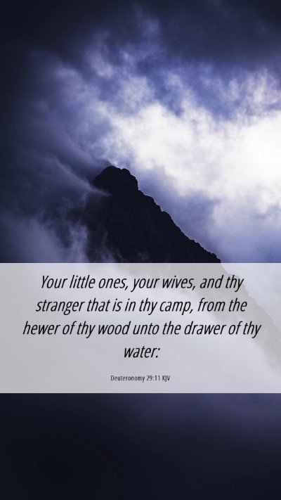 Picture 06 - Deuteronomy 29:11 KJV Mobile Phone Wallpaper - Your little ones, your wives, and thy stranger - Mobile Bible Verse Wallpaper