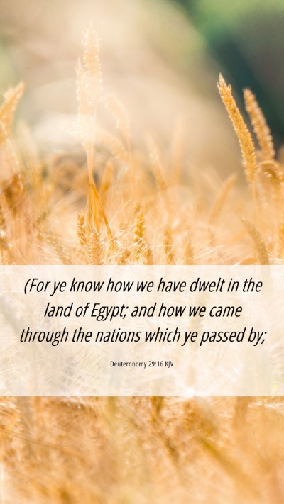 Picture 06 - Deuteronomy 29:16 KJV Mobile Phone Wallpaper - (For ye know how we have dwelt in the land of - Mobile Bible Verse Wallpaper