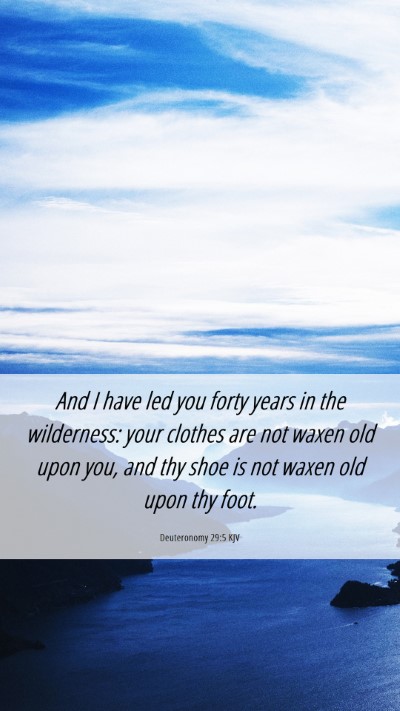 Picture 06 - Deuteronomy 29:5 KJV Mobile Phone Wallpaper - And I have led you forty years in the wilderness: - Mobile Bible Verse Wallpaper