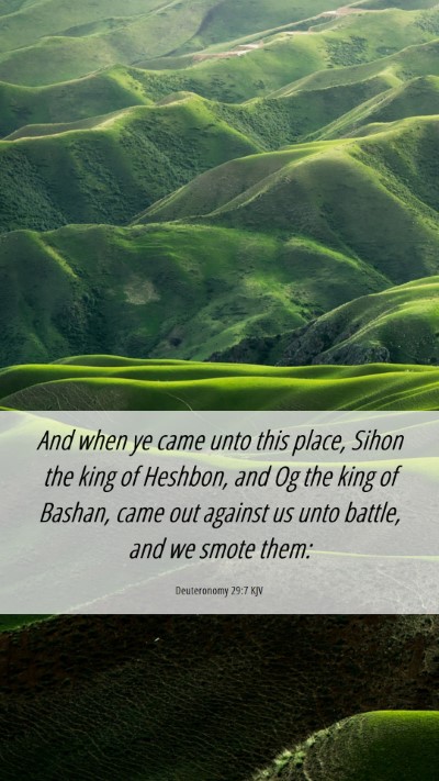 Picture 06 - Deuteronomy 29:7 KJV Mobile Phone Wallpaper - And when ye came unto this place, Sihon the king - Mobile Bible Verse Wallpaper