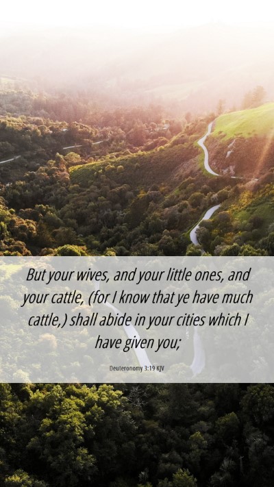 Picture 06 - Deuteronomy 3:19 KJV Mobile Phone Wallpaper - But your wives, and your little ones, and your - Mobile Bible Verse Wallpaper
