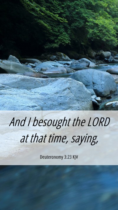 Picture 06 - Deuteronomy 3:23 KJV Mobile Phone Wallpaper - And I besought the LORD at that time, - Mobile Bible Verse Wallpaper