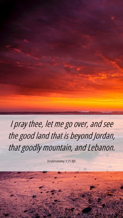 Picture 06 - Deuteronomy 3:25 KJV Mobile Phone Wallpaper - I pray thee, let me go over, and see the good - Mobile Bible Verse Wallpaper