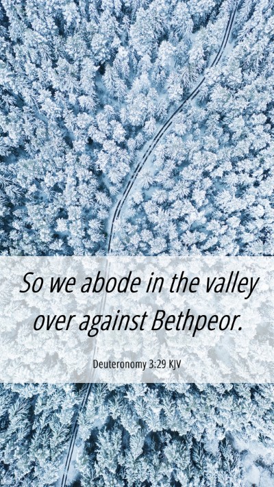 Picture 06 - Deuteronomy 3:29 KJV Mobile Phone Wallpaper - So we abode in the valley over against - Mobile Bible Verse Wallpaper