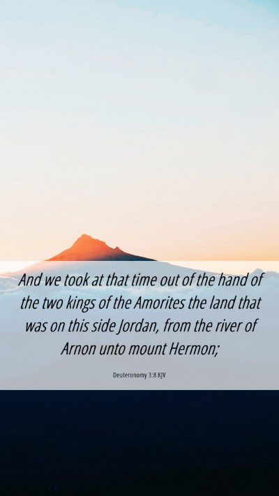 Picture 06 - Deuteronomy 3:8 KJV Mobile Phone Wallpaper - And we took at that time out of the hand of the - Mobile Bible Verse Wallpaper