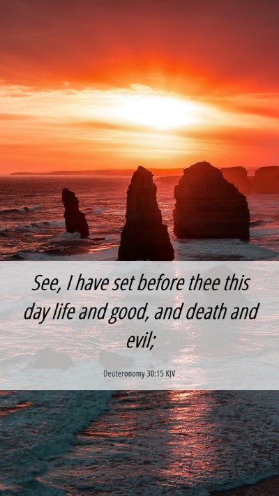 Picture 06 - Deuteronomy 30:15 KJV Mobile Phone Wallpaper - See, I have set before thee this day life and - Mobile Bible Verse Wallpaper