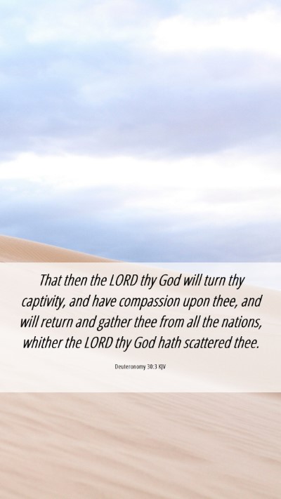 Picture 06 - Deuteronomy 30:3 KJV Mobile Phone Wallpaper - That then the LORD thy God will turn thy - Mobile Bible Verse Wallpaper
