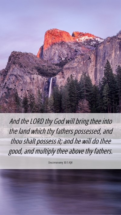 Picture 06 - Deuteronomy 30:5 KJV Mobile Phone Wallpaper - And the LORD thy God will bring thee into the - Mobile Bible Verse Wallpaper