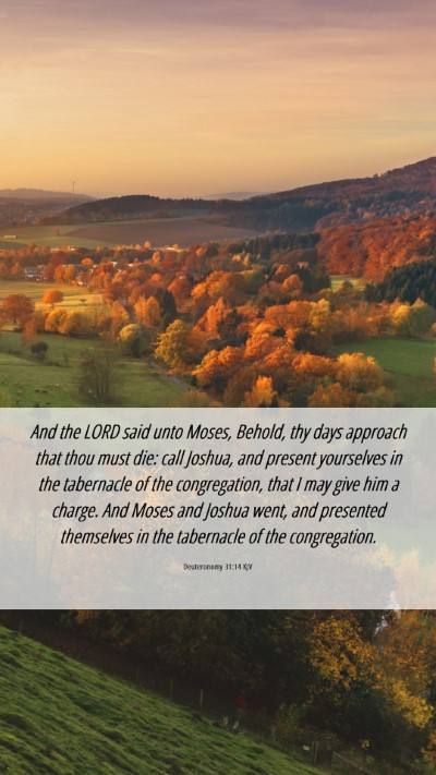 Picture 06 - Deuteronomy 31:14 KJV Mobile Phone Wallpaper - And the LORD said unto Moses, Behold, thy days - Mobile Bible Verse Wallpaper