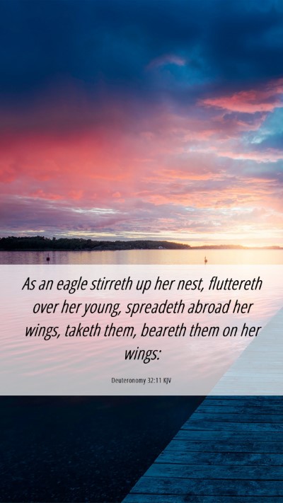 Picture 06 - Deuteronomy 32:11 KJV Mobile Phone Wallpaper - As an eagle stirreth up her nest, fluttereth over - Mobile Bible Verse Wallpaper