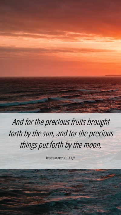 Picture 06 - Deuteronomy 33:14 KJV Mobile Phone Wallpaper - And for the precious fruits brought forth by the - Mobile Bible Verse Wallpaper