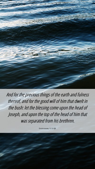 Picture 06 - Deuteronomy 33:16 KJV Mobile Phone Wallpaper - And for the precious things of the earth and - Mobile Bible Verse Wallpaper