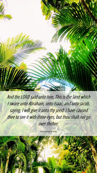 Picture 06 - Deuteronomy 34:4 KJV Mobile Phone Wallpaper - And the LORD said unto him, This is the land - Mobile Bible Verse Wallpaper