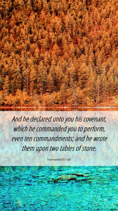 Picture 06 - Deuteronomy 4:13 KJV Mobile Phone Wallpaper - And he declared unto you his covenant, which he - Mobile Bible Verse Wallpaper