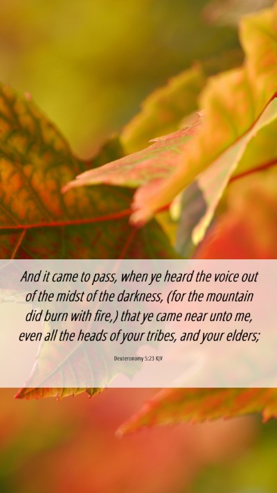 Picture 06 - Deuteronomy 5:23 KJV Mobile Phone Wallpaper - And it came to pass, when ye heard the voice out - Mobile Bible Verse Wallpaper