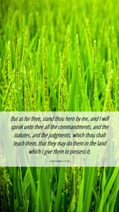 Picture 06 - Deuteronomy 5:31 KJV Mobile Phone Wallpaper - But as for thee, stand thou here by me, and I - Mobile Bible Verse Wallpaper