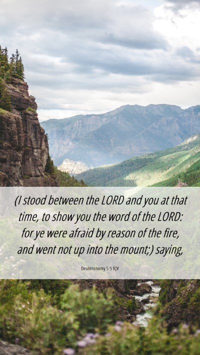 Picture 06 - Deuteronomy 5:5 KJV Mobile Phone Wallpaper - (I stood between the LORD and you at that time, - Mobile Bible Verse Wallpaper