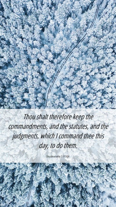 Picture 06 - Deuteronomy 7:11 KJV Mobile Phone Wallpaper - Thou shalt therefore keep the commandments, and - Mobile Bible Verse Wallpaper