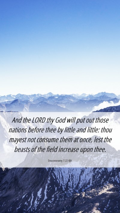 Picture 06 - Deuteronomy 7:22 KJV Mobile Phone Wallpaper - And the LORD thy God will put out those nations - Mobile Bible Verse Wallpaper