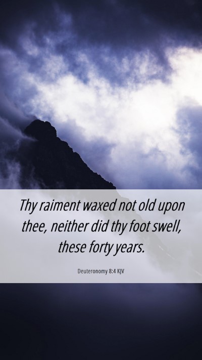 Picture 06 - Deuteronomy 8:4 KJV Mobile Phone Wallpaper - Thy raiment waxed not old upon thee, neither did - Mobile Bible Verse Wallpaper