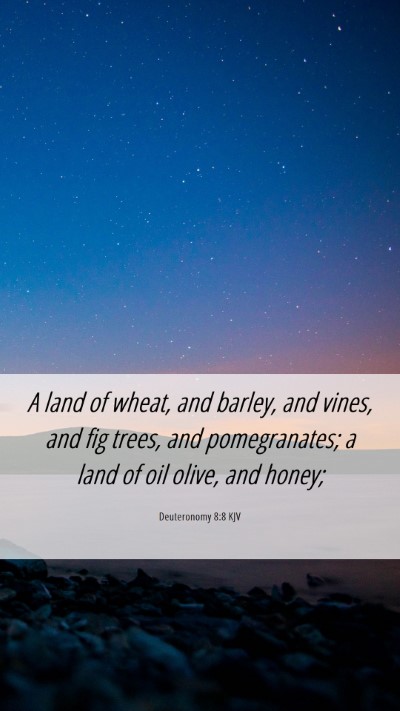 Picture 06 - Deuteronomy 8:8 KJV Mobile Phone Wallpaper - A land of wheat, and barley, and vines, and fig - Mobile Bible Verse Wallpaper