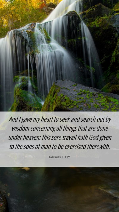 Picture 06 - Ecclesiastes 1:13 KJV Mobile Phone Wallpaper - And I gave my heart to seek and search out by - Mobile Bible Verse Wallpaper