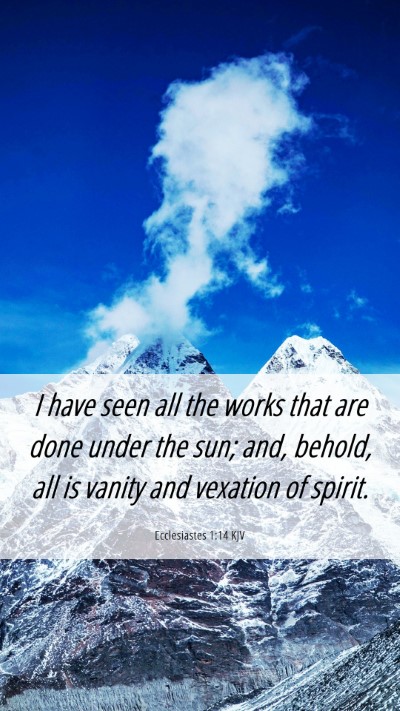 Picture 06 - Ecclesiastes 1:14 KJV Mobile Phone Wallpaper - I have seen all the works that are done under the - Mobile Bible Verse Wallpaper