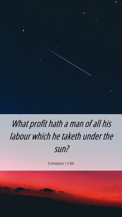 Picture 06 - Ecclesiastes 1:3 KJV Mobile Phone Wallpaper - What profit hath a man of all his labour which he - Mobile Bible Verse Wallpaper