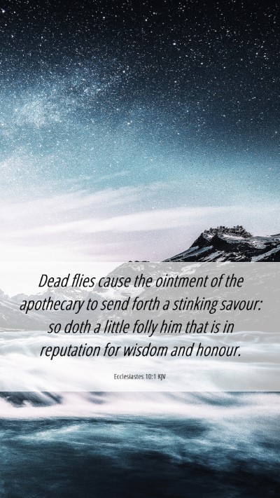 Picture 06 - Ecclesiastes 10:1 KJV Mobile Phone Wallpaper - Dead flies cause the ointment of the apothecary - Mobile Bible Verse Wallpaper