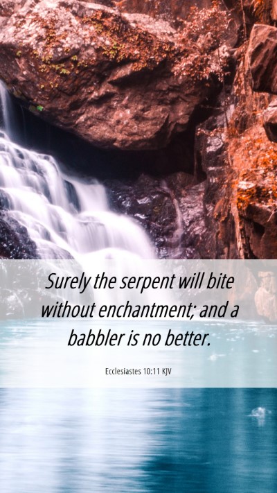 Picture 06 - Ecclesiastes 10:11 KJV Mobile Phone Wallpaper - Surely the serpent will bite without enchantment; - Mobile Bible Verse Wallpaper