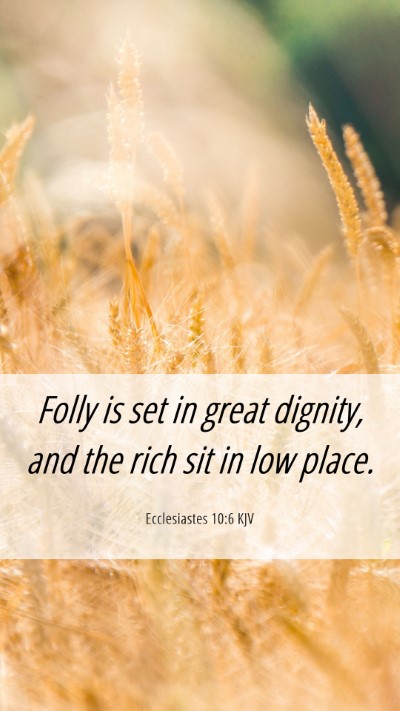 Picture 06 - Ecclesiastes 10:6 KJV Mobile Phone Wallpaper - Folly is set in great dignity, and the rich sit - Mobile Bible Verse Wallpaper