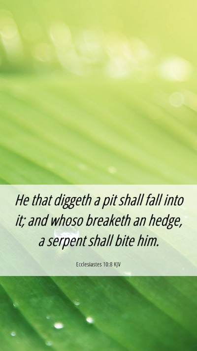 Picture 06 - Ecclesiastes 10:8 KJV Mobile Phone Wallpaper - He that diggeth a pit shall fall into it; and - Mobile Bible Verse Wallpaper