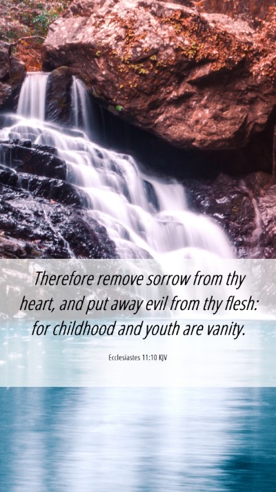 Picture 06 - Ecclesiastes 11:10 KJV Mobile Phone Wallpaper - Therefore remove sorrow from thy heart, and put - Mobile Bible Verse Wallpaper
