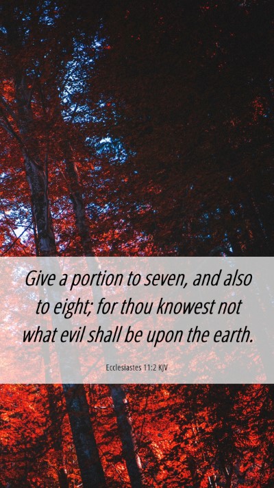Picture 06 - Ecclesiastes 11:2 KJV Mobile Phone Wallpaper - Give a portion to seven, and also to eight; for - Mobile Bible Verse Wallpaper