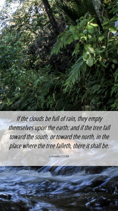 Picture 06 - Ecclesiastes 11:3 KJV Mobile Phone Wallpaper - If the clouds be full of rain, they empty - Mobile Bible Verse Wallpaper
