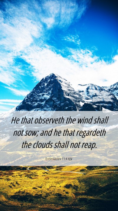 Picture 06 - Ecclesiastes 11:4 KJV Mobile Phone Wallpaper - He that observeth the wind shall not sow; and he - Mobile Bible Verse Wallpaper