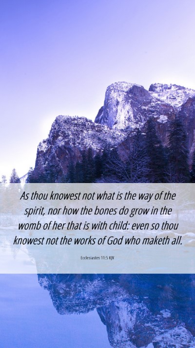 Picture 06 - Ecclesiastes 11:5 KJV Mobile Phone Wallpaper - As thou knowest not what is the way of the - Mobile Bible Verse Wallpaper
