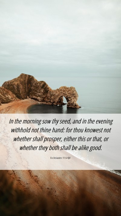 Picture 06 - Ecclesiastes 11:6 KJV Mobile Phone Wallpaper - In the morning sow thy seed, and in the evening - Mobile Bible Verse Wallpaper