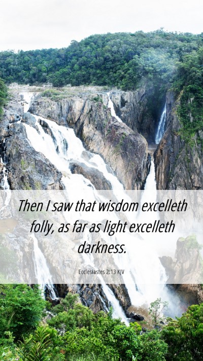 Picture 06 - Ecclesiastes 2:13 KJV Mobile Phone Wallpaper - Then I saw that wisdom excelleth folly, as far as - Mobile Bible Verse Wallpaper