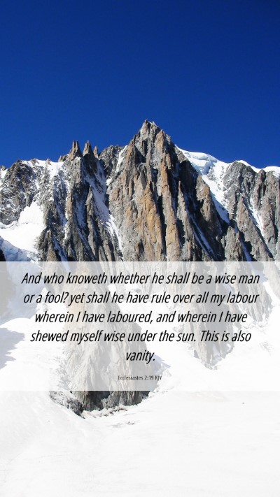 Picture 06 - Ecclesiastes 2:19 KJV Mobile Phone Wallpaper - And who knoweth whether he shall be a wise man or - Mobile Bible Verse Wallpaper