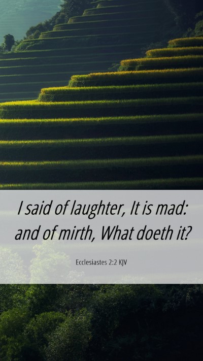 Picture 06 - Ecclesiastes 2:2 KJV Mobile Phone Wallpaper - I said of laughter, It is mad: and of mirth, What - Mobile Bible Verse Wallpaper
