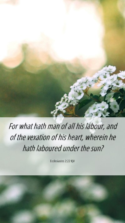 Picture 06 - Ecclesiastes 2:22 KJV Mobile Phone Wallpaper - For what hath man of all his labour, and of the - Mobile Bible Verse Wallpaper