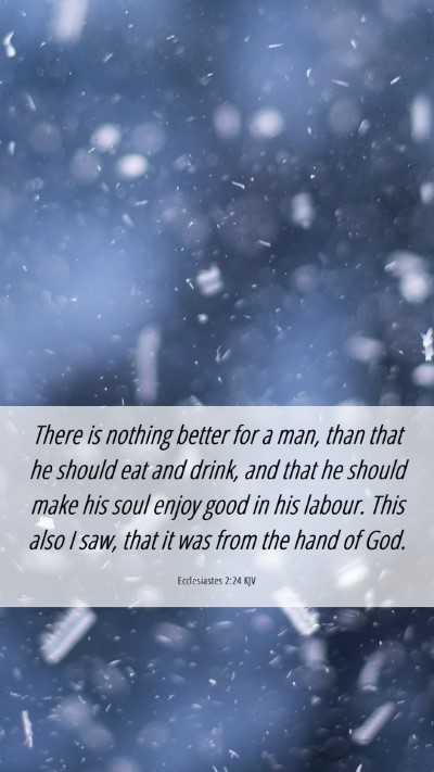 Picture 06 - Ecclesiastes 2:24 KJV Mobile Phone Wallpaper - There is nothing better for a man, than that he - Mobile Bible Verse Wallpaper
