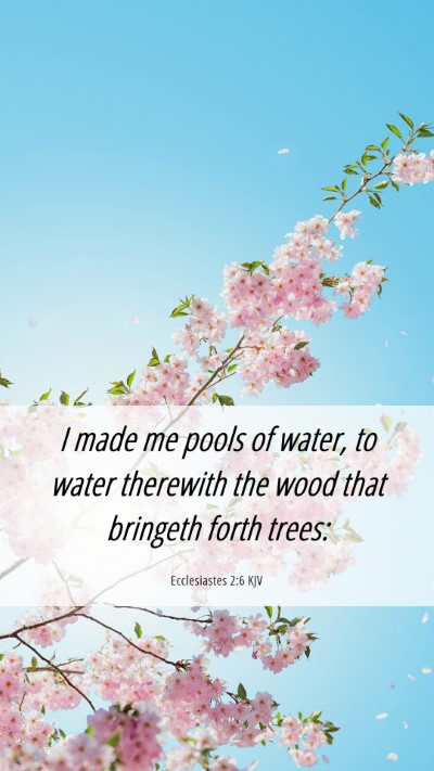 Picture 06 - Ecclesiastes 2:6 KJV Mobile Phone Wallpaper - I made me pools of water, to water therewith the - Mobile Bible Verse Wallpaper