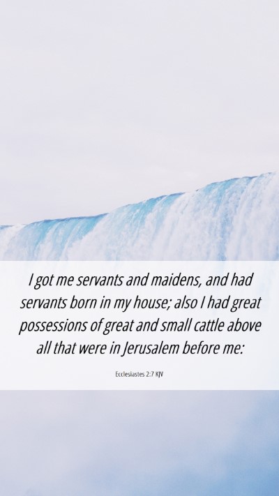 Picture 06 - Ecclesiastes 2:7 KJV Mobile Phone Wallpaper - I got me servants and maidens, and had servants - Mobile Bible Verse Wallpaper
